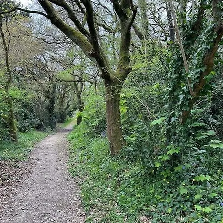 Duplex Parapluies De Netflix Parking Апартаменты *