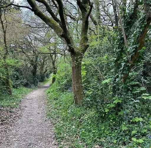 Duplex Parapluies De Netflix Parking شقة *